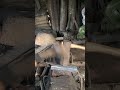 the process of breaking down selected raw materials #medievalblacksmith #woodworking #kerajinanbesi