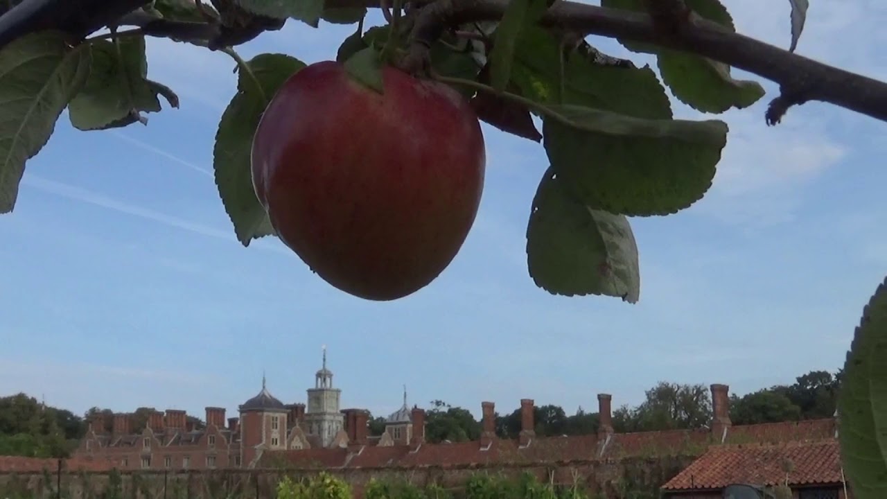 Blickling Estate Walled Garden, Norfolk