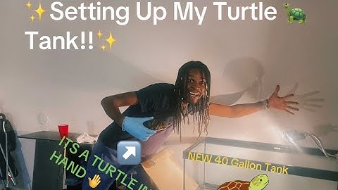 New Turtle 🐢 Tank Setup! 🏠 Step-by-Step Guide ✨”