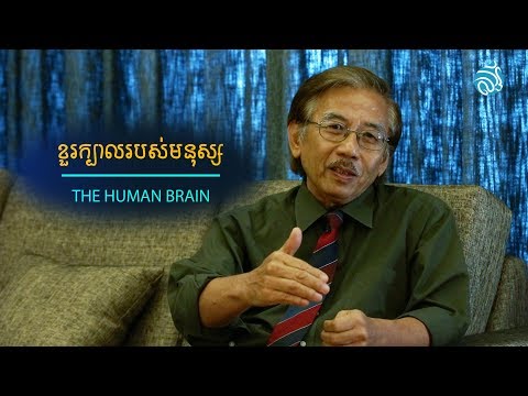 ខួរក្បាលរបស់មនុស្ស (The Human Brain) By Christopher Lee