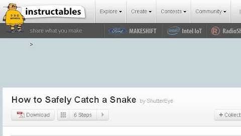 How-To Catch An Escaped Ball Python