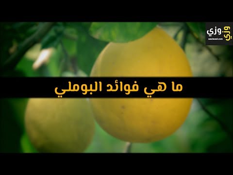 فيديو: لماذا فاكهة البوميلو مفيدة؟