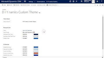 Custom Themes - CRM Configuration Basics