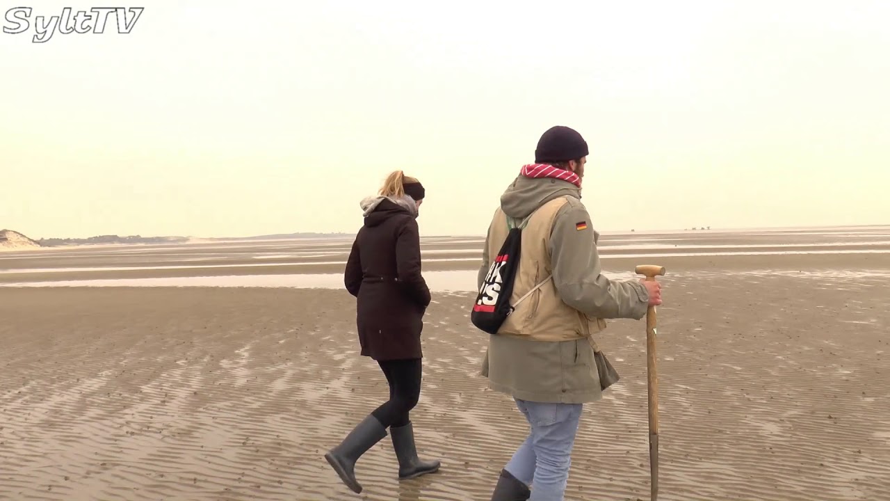 Wattwanderungen auf Sylt wieder mglich