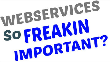 Why are web services SO Freakin IMPORTANT for applications?