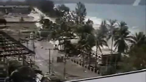 Quais foram os impactos ambientais causados pelo tsunami de 2004?