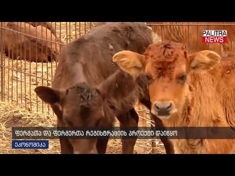 ფერმათა და ფერმერთა რეგისტრაციის პროექტი დაიწყო