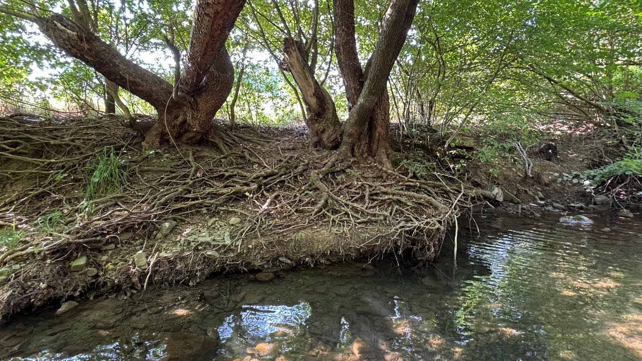 ASMR sound - walk in a dry stream - 3D audio sound