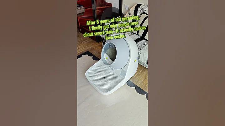 Watch the video about Hurry up and get a cat litter box for your cat! #siamese #catlover #catowner #cathealth #catlink