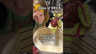 I Finished The Vegetable Frog Sculptures