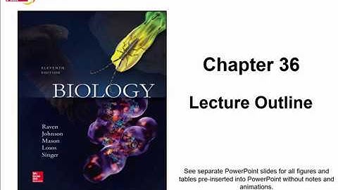BIOL 1407 Lecture 36 Plant Form