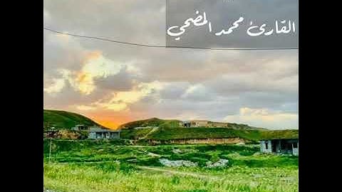 القارئ محمد المضحي