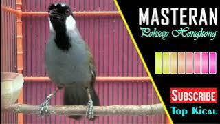 Download lagu PANCINGAN Burung JAWARA EDAN