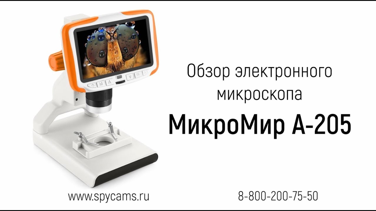 Www Spycams Com