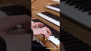 Download Lagu This Organ-Tutti is Stunning! #organ #pipeorgan #fantasia #baroque #musik #orgel #music #bach MP3 Download Lagu This Organ-Tutti is Stunning! #organ #pipeorgan #fantasia #baroque #musik #orgel #music #bach MP3
