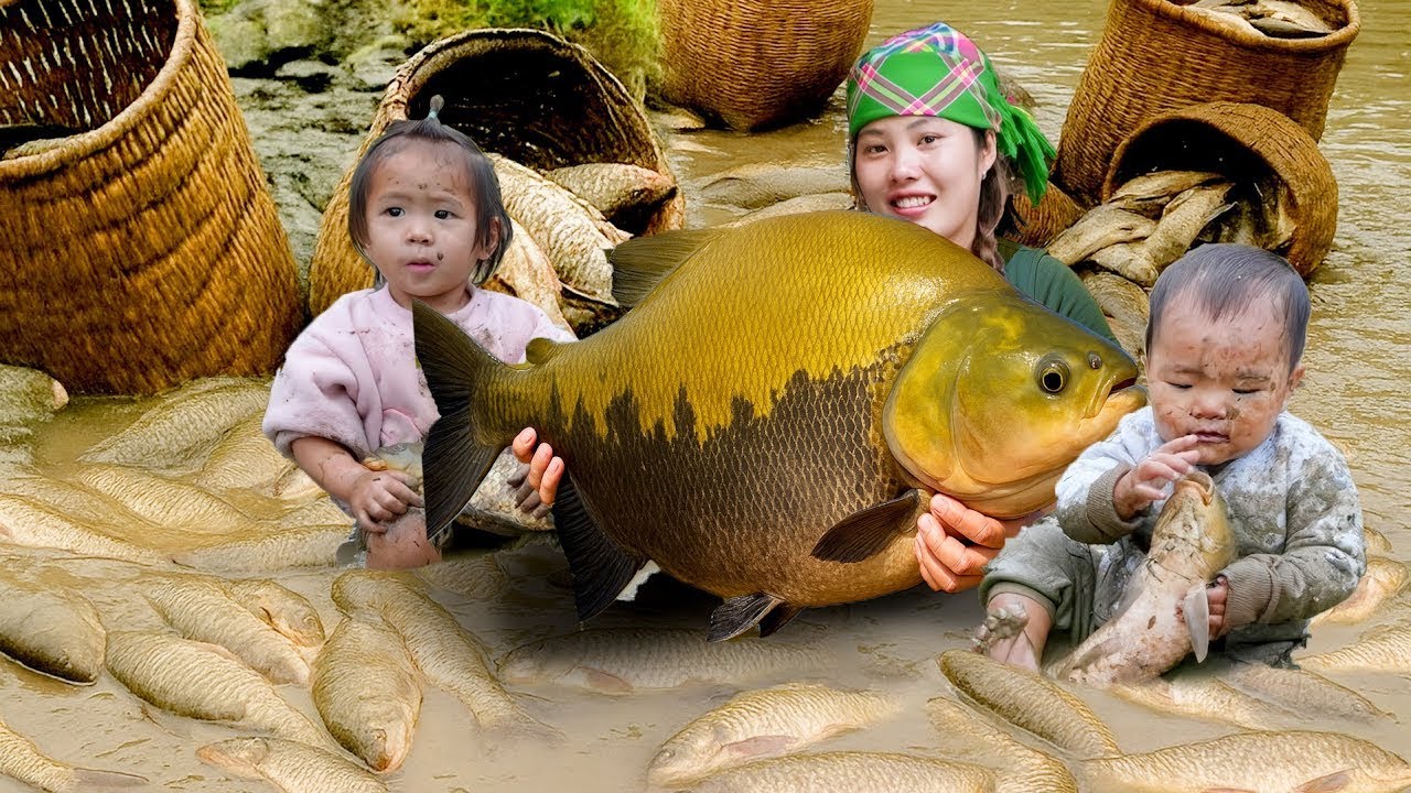 How We Block Rivers and Pump Water to Catch Giant Fish for the Market ...