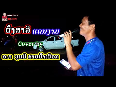 ຜົ້ງສາລີແດນງາມ cover ໂດຍ ອ.ຈ ບຸນມີ ສາຍນ້ຳເຜືອກ / ผ้งสาลีแดนงาม