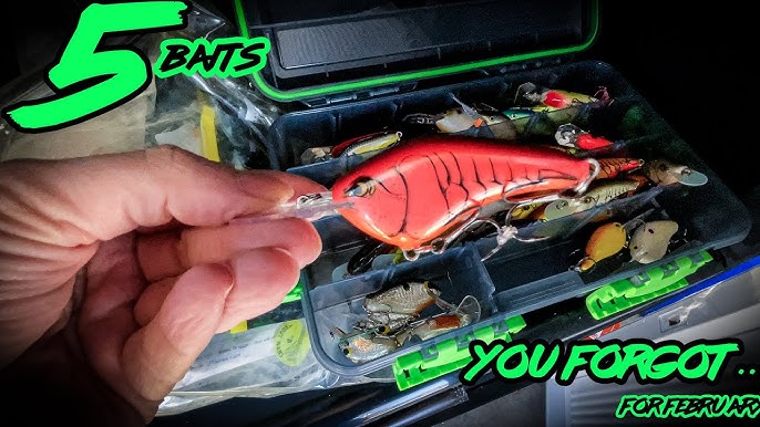 Baitman Live: Did I SELLOUT?!?! New Baits, Old Baits, and More