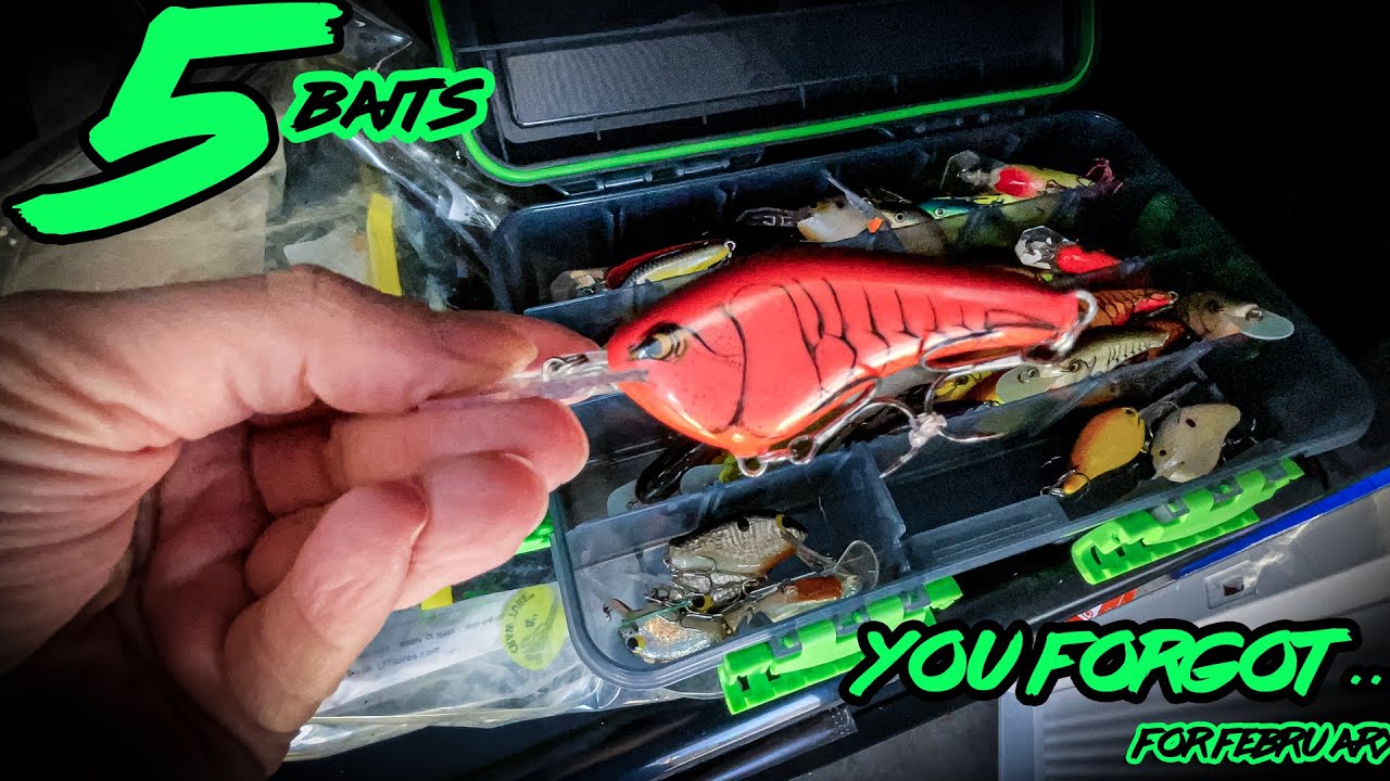 5 Bass BAITS for February YOU FORGOT ABOUT…