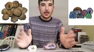 geodi , vincitore domanda e sfida
