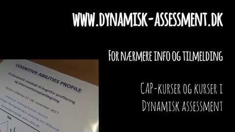 Cognitive Abilities Profile - intro 2019 - www.dynamisk-assessment.dk