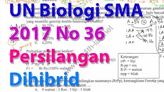 N36 Persilangan Dihibrid Pembahasan Ujian Nasional Biologi Sma 2016 2017