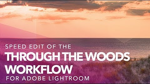 Timelapse Edit - Through the Woods Lightroom Preset Workflow