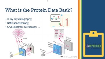 Introduction to the Protein Data Bank