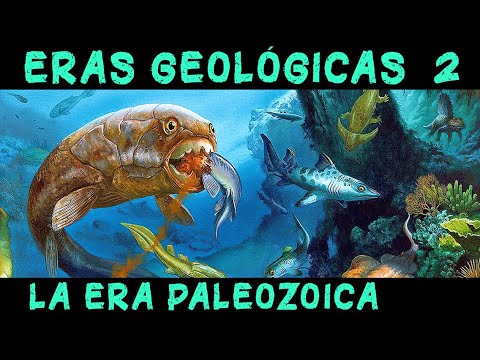 Video: Quali animali apparvero nell'era paleozoica?