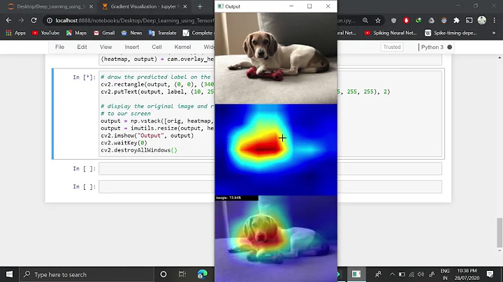 Gradient Classification Activation Maps for Visualizing Convolutional Neural Networks in Tensorflow - DayDayNews