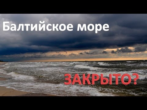 Ядовитые водоросли. В Балтийском море опасно купаться