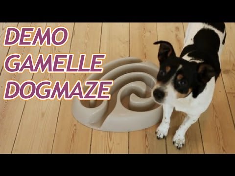 Démonstration De La Gamelle Buster Dogmaze