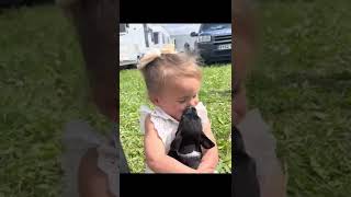 Little Girl's Reaction to Meeting Puppy for the First Time || ViralHog