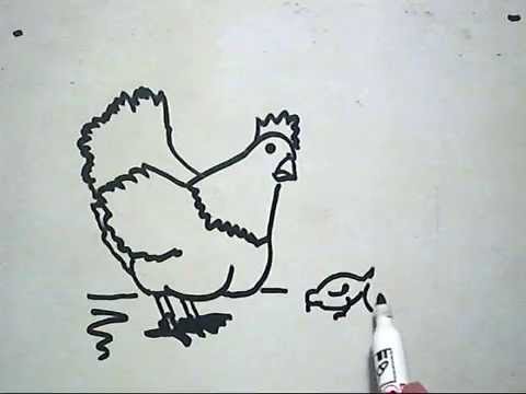  Cara Menggambar ayam betina  How to Draw a Hen YouTube