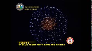 SB125PE09 - 5 INCH SHELL - WIZARD FIREWORKS - PS5012