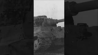 Tiger Ii When Perfection Met Desperation