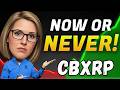 Coinbase Wrapped XRP Crypto: New Multi-Chain Pool Sparks Huge Hype!