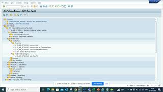 How to find all the Tax audit report in SAP