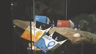 Lemon Haze Party 2019 - Day 1 - The Brands