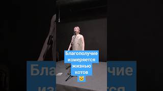 Благополучие измеряется жизнью котов