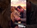 The wild love #shorts #viral #new #india #trending #love