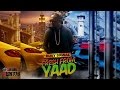 Busy signal  fresh from yard  february 2017