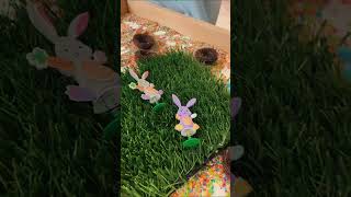 Paisaje de Pascua en Nanyland