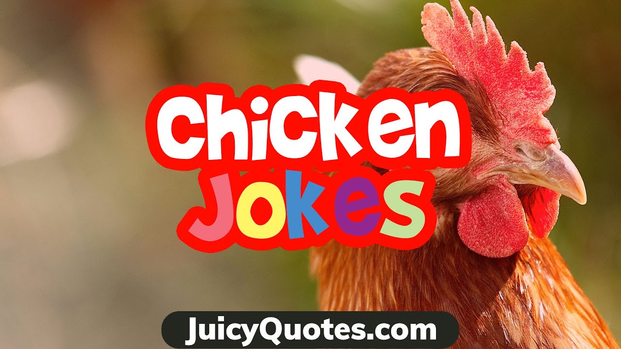 Funny Chicken Jokes and Puns - To Entertain You - YouTube