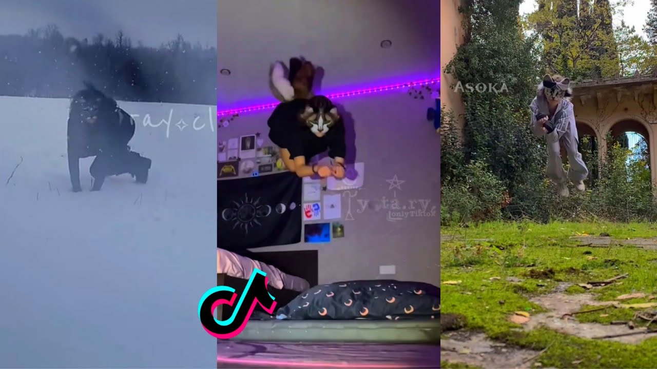 Therian TikTok Compilation #15😻