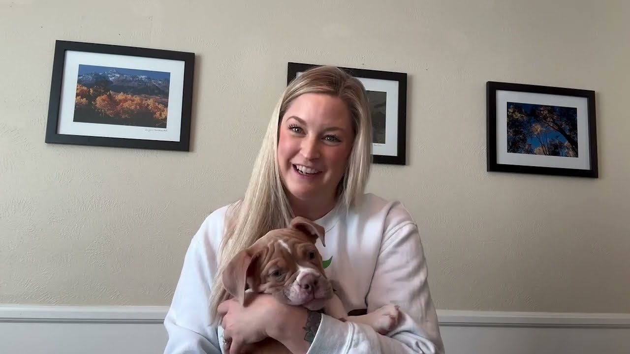 Can I give my puppy CBD?