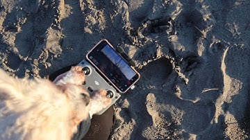 Pterodactyl Drone -  First Flight