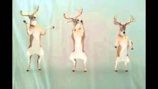 Reindeer Christmas - Dancing ( 1 Hour Version )