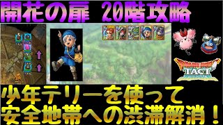 【ドラクエタクト】少年テリーを活用した開花の扉20階 ※6:30～7:30で映像乱れます