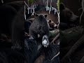 🐻 Bear Cub POV: Journey into the Snowy Winter Den to Find Mom! 🐾
